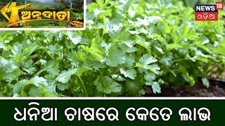 Annadata |   ଧନିଆ ଚାଷରେ ଖତସାର ପରିଚାଳନା | News18 odia(29 August 2019)