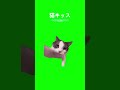 猫ミームno.070：猫キッス 猫ミーム 猫 tiktok capcut catmeme