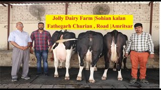 6 लाख की 7 गाये |2 क्विंटल Milk,Top quality| बंगाल के 27 वर्षीय इंजिनियर को कामयाब करने का दावा देखे