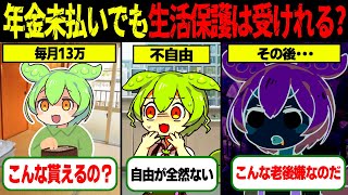 【実話】本当？年金未払いでも生活保護は受けられる？200万人を超える受給者の実態【ゆっくり解説ずんだもん】