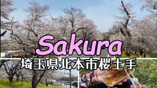 桜 さくら Sakura Cherry Blossoms 埼玉県 北本市 の 城ヶ谷堤  桜土手 で ソメイヨシノ と 菜の花 を見てきました😁