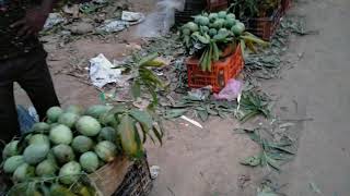 mango bahar at Bhagalpur 😉