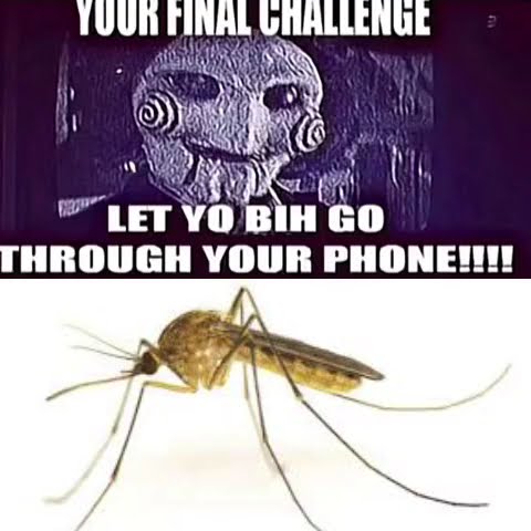 Your Final Challenge, Let Yo Bih Go Through Yo Phone (Mosquito Edition ...