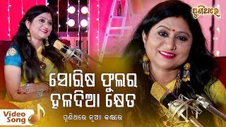 Sorisa Phulara Haladia Kheta | Odia Romantic Song By Namita Agrawal | Puni Thare