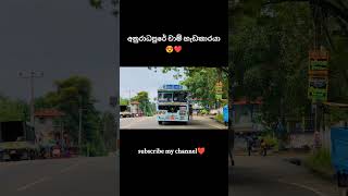 අනුරාධපුර  ගැම්ම😍❤️#bus#automobile#shorts