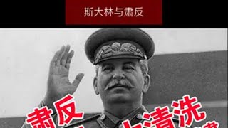 一个国家的自残：苏联大清洗运动 斯大林的大清洗运动是20世纪30年代后期的一场大规模的政治迫害和社会清洗活动。针对的是党内外的反对派、军事将领、知识分子，还有少数民族群体。这场大清洗直接导致了几百万