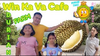 Durian Farm🍈Win Ka Va Cafe😁  Kantharalak, Sisaket, Thailand