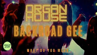 Backroad Gee - What Do you Mean (Organ Mix)