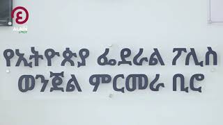 የፌደራል ፖሊስ ኮሚሽን እና የምርመራ ዘመናዊነት