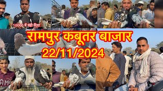 रामपुर कबूतर बाजार Rampur kabootar bajar 22/11/2024