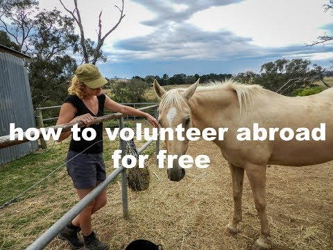 How you can volunteer abroad for free