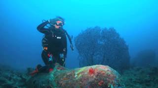 沖縄　古宇利島沈船エモンズ　\