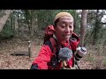 【関東日帰り低山】4k 猫にも出会え歴史ある【唐澤山神社】から唐沢山〜諏訪岳縦走　【栃木県佐野市】