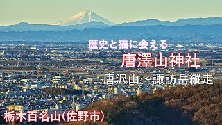 【関東日帰り低山】4K 猫にも出会え歴史ある【唐澤山神社】から唐沢山〜諏訪岳縦走　【栃木県佐野市】