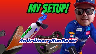 Sim Racing Fanatic & Playseat F1 Setup