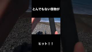 砂浜からアジをぶっこむと１１５センチの怪物が釣れた。【泳がせ釣り】