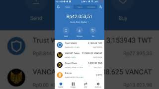 vancat bukan token micin