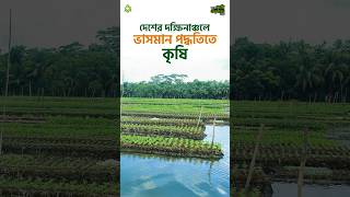 আন্তর্জাতিক স্বীকৃতিপ্রাপ্ত বরিশালের ধাপভিত্তিক ভাসমান চাষ পদ্ধতি #agriculture