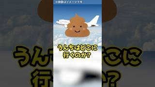 【仰天】飛行機のうんちは時速○○○kmで配管を移動する！？#shorts