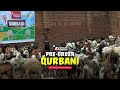 Order Your Qurbani