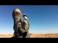 lone Soldier music video