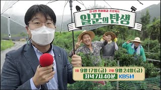 [예고] 유명 연예인 3총사가 오지마을에 떴다! 전국민 민원해결 프로젝트 '일꾼의 탄생' l KBS 방송