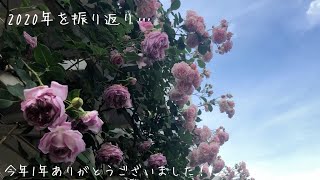 ありすがーでん　〜小さな小さなローズガーデン〜　今年1年ありがとうございました！