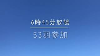 2021年10月24日磯原200Kレース