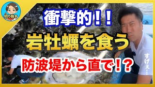 【漁師まさと】防波堤にある岩ガキってうまいの？そのままガチで食べてみた結果なんと！【釣り 瀬戸内 漁師  切り抜き fish fishing fisherman SETOUCHI 船 給料】