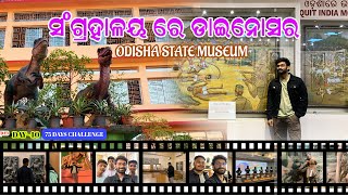 Odisha State Museum | ଓଡିଶା ରାଜ୍ୟ ସଂଗ୍ରାଳୟ | ସଂଗ୍ରହାଳୟ ରେ ଡାଇନୋସର ! Bhubaneswar State Museum #travel