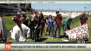 Estero Reñaca: Municipalidad de Viña del Mar pide que se declare humedal urbano