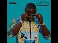 Akon - Te Quiero Amar (feat. Pitbull)