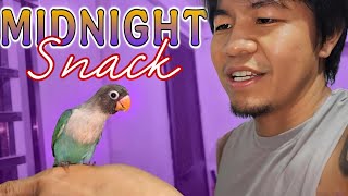 Midnight Snack ng mga Birdie