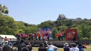 おどるんや春まつり2015 海友会 dance team 楽舞和 [1]