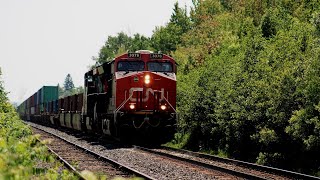 Southbound Madness! Railfanning the CN Bala Sub