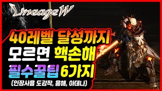 【리니지w】1~40까지 무소과금 필수꿀팁6가지 [인장사용, 도감작, 아데나수급, 무기강화]