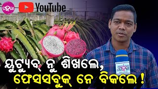 Bargarh Dragon fruit Farming: ହାର୍ଟ ଆର୍ କେନ୍ସର୍ ବେମାରୀ ଇ ଫଲ୍ ଖାଏବାର୍ କଥା...