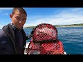 Hand Hauling The Fish Locker's NEW lobster pots - Crab, Lobsters and sea creatures  The Fish Locker