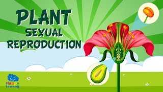 Plant sexual reproduction | Educational Video for Kids