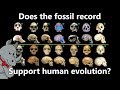 Some Fossils Were Reclassified, Therefore Evolution is Wrong
