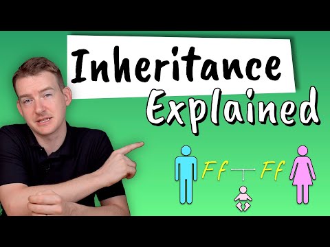 Inheritance Explained How do we inherit characteristics from our parents?