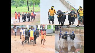 MIJAR PRASAD NILAYA|BELLIPADY KAIPA|CHOKKADI KATPADI|BELVAI PERODI PUTTIGE GUTTU|KAMBALA PRACTICE