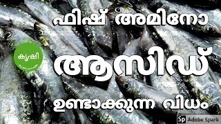 Fish Amino Acid Preparations and Usage - ഫിഷ്‌ അമിനോ ആസിഡ് ഉണ്ടാക്കുന്ന വിധം