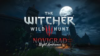 Witcher 3 - Novigrad - Night Ambience