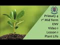 Primary 4 - 1st Mid Term - ENV - Video 1 - Lesson 1- Plant Life