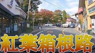 紅葉の箱根路2021年秋（箱根湯本駅〜宮ノ下温泉〜姥子〜仙石原（長安寺）」