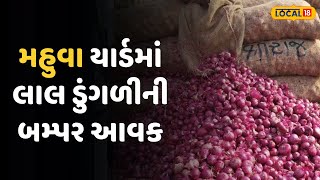 Bhavanagar News |મહુવા માર્કેટિંગ યાર્ડમાં લાલ ડુંગળીની બમ્પર આવક, ભાવમાં થયો વધારો|Local18