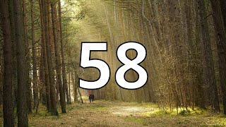 58 Second Countdown Timer With Alarm Sound At the End (Simple Beep)