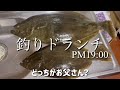 身近な海に潜む冬の怪物高級魚