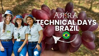 Together to innovate, grow, and collaborate: ARRA Varieties Brazil